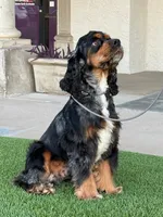 processed/b61a6a65-abc5-4fa6-8629-92aa99031c42/listing/a8373eb5-4000-4c3a-a623-bf264029b6b2/db73e622-592d-4a8c-a100-f75946ee88a1