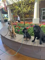 processed/b61a6a65-abc5-4fa6-8629-92aa99031c42/listing/a8373eb5-4000-4c3a-a623-bf264029b6b2/e4a71191-dda3-4044-8ddd-abed15b09f21