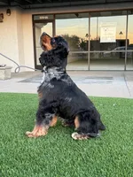 processed/b61a6a65-abc5-4fa6-8629-92aa99031c42/listing/a8373eb5-4000-4c3a-a623-bf264029b6b2/ea9ec629-ed34-4d53-8a01-03112c99e24a