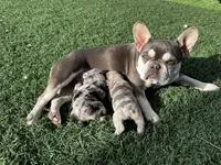 processed/b61a6a65-abc5-4fa6-8629-92aa99031c42/listing/cb2af108-6b46-4336-8403-d01aa69c1dca/3049f80d-d897-455e-93c1-6b61a012d442