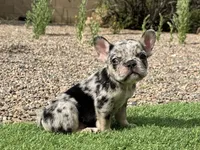 processed/b61a6a65-abc5-4fa6-8629-92aa99031c42/listing/cb2af108-6b46-4336-8403-d01aa69c1dca/81c2f38a-c1a8-4290-99ae-cb7235605fe1