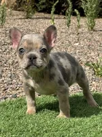 processed/b61a6a65-abc5-4fa6-8629-92aa99031c42/listing/cb2af108-6b46-4336-8403-d01aa69c1dca/939e11d8-f3fd-4552-befa-c77460e758bb