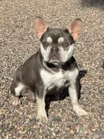 processed/b61a6a65-abc5-4fa6-8629-92aa99031c42/listing/cb2af108-6b46-4336-8403-d01aa69c1dca/9cd0888e-27fc-40b3-b482-688ebb8aa87d