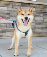 processed/b625482a-8490-45a1-b20a-6b9b12032185/facility/08618bad-0d25-4fad-b86c-5abd903f3001