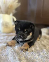 processed/b625482a-8490-45a1-b20a-6b9b12032185/listing/128065f2-0e48-4fe4-abb9-68e745cafab7/2d4cc102-9b0e-494a-8319-790db6efe311