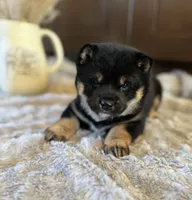 processed/b625482a-8490-45a1-b20a-6b9b12032185/listing/128065f2-0e48-4fe4-abb9-68e745cafab7/f36b1707-d21a-4dcd-ac5e-cce2a3da162d