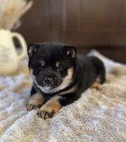 processed/b625482a-8490-45a1-b20a-6b9b12032185/listing/128065f2-0e48-4fe4-abb9-68e745cafab7/fa3b2c16-937b-47ca-9249-ed25427b0990