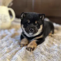 processed/b625482a-8490-45a1-b20a-6b9b12032185/listing/128065f2-0e48-4fe4-abb9-68e745cafab7/fc573e2e-ea26-468c-86a5-a32747f5694b