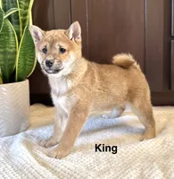 processed/b625482a-8490-45a1-b20a-6b9b12032185/listing/18efa365-686c-42c7-93fb-294bad2fc76e/9aedd798-7170-4769-82a6-81b298996da8