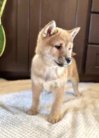 processed/b625482a-8490-45a1-b20a-6b9b12032185/listing/18efa365-686c-42c7-93fb-294bad2fc76e/d2a24fff-e258-4cb7-9423-0efe6626ca2c