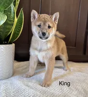 processed/b625482a-8490-45a1-b20a-6b9b12032185/listing/18efa365-686c-42c7-93fb-294bad2fc76e/d84cd32a-3ac7-4937-9094-0b373e41be5b