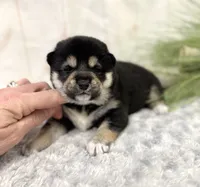 processed/b625482a-8490-45a1-b20a-6b9b12032185/listing/51652c5f-5922-4bb0-ba6a-5cc0cee1b31f/0f0234c7-df71-4fd1-b1b2-aba99b5f838e