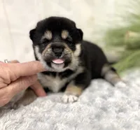 processed/b625482a-8490-45a1-b20a-6b9b12032185/listing/51652c5f-5922-4bb0-ba6a-5cc0cee1b31f/644ce090-c12e-477d-adfa-8f6ab4a7e3a4