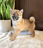 processed/b625482a-8490-45a1-b20a-6b9b12032185/listing/6cea2302-d27e-4dd6-acab-8df412303d98/7c402c45-b85b-4be1-bb89-be58e1309cd7