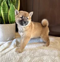 processed/b625482a-8490-45a1-b20a-6b9b12032185/listing/6cea2302-d27e-4dd6-acab-8df412303d98/d5355bb5-5d6a-46be-b810-dfcd850654df