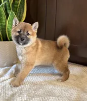 processed/b625482a-8490-45a1-b20a-6b9b12032185/listing/6cea2302-d27e-4dd6-acab-8df412303d98/d9da225c-49ea-45df-9ed5-4f01f1cb7395