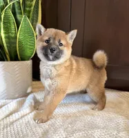 processed/b625482a-8490-45a1-b20a-6b9b12032185/listing/6cea2302-d27e-4dd6-acab-8df412303d98/db1568ab-a2c1-45c0-bd4c-3e036406299a