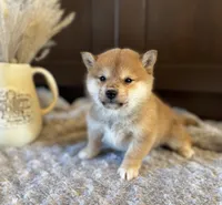 processed/b625482a-8490-45a1-b20a-6b9b12032185/listing/ada8c7cb-6f6a-4b45-88c5-e9b1edccb44c/a43eafe8-395c-410a-8b9e-19764074b984