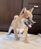 processed/b625482a-8490-45a1-b20a-6b9b12032185/listing/aff44241-82b1-4e55-8236-6f8f91ecdc8c/127e7af8-5571-49f9-8d6f-60924e37bda1