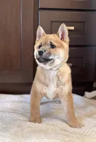 processed/b625482a-8490-45a1-b20a-6b9b12032185/listing/aff44241-82b1-4e55-8236-6f8f91ecdc8c/28655fe5-cb09-4f46-935a-8b85ec24713c