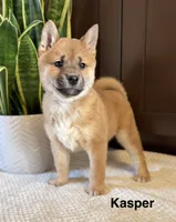 processed/b625482a-8490-45a1-b20a-6b9b12032185/listing/aff44241-82b1-4e55-8236-6f8f91ecdc8c/e2696842-18e5-465a-bc22-a8768740fef7