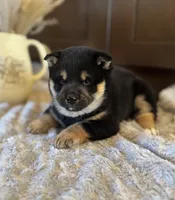 processed/b625482a-8490-45a1-b20a-6b9b12032185/listing/b105d9de-adf6-4b1e-806a-5cf4e9dcd883/b1ca346c-55b6-4716-9662-99d86a22c288