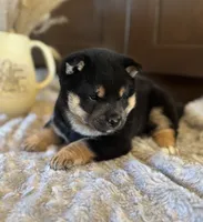 processed/b625482a-8490-45a1-b20a-6b9b12032185/listing/b105d9de-adf6-4b1e-806a-5cf4e9dcd883/b5249b21-b52c-49d7-87ef-c31db973cb74