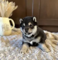 processed/b625482a-8490-45a1-b20a-6b9b12032185/listing/bbe43b4f-0042-4302-9d41-a95a9810e51d/15a9c26e-f233-4630-a575-74eaec562a9c