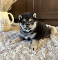 processed/b625482a-8490-45a1-b20a-6b9b12032185/listing/bbe43b4f-0042-4302-9d41-a95a9810e51d/6d69caa9-5622-4f1a-98a2-2788740d25e0