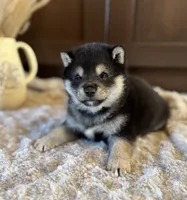 processed/b625482a-8490-45a1-b20a-6b9b12032185/listing/bbe43b4f-0042-4302-9d41-a95a9810e51d/936a6f3f-7a0a-4f99-ba2b-f03822b87ce1