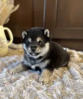 processed/b625482a-8490-45a1-b20a-6b9b12032185/listing/bbe43b4f-0042-4302-9d41-a95a9810e51d/e5012088-02f2-4865-af0f-4fe0bb6ca75e