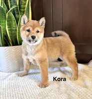 processed/b625482a-8490-45a1-b20a-6b9b12032185/listing/cc445625-96e5-4a71-ac85-641a1edbb3ec/786793ed-7641-4cb7-b239-231f26b1b7b2