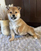 processed/b625482a-8490-45a1-b20a-6b9b12032185/listing/fefab30d-1adb-4e51-954b-fd0df6567b7b/b341063a-2360-4107-bf92-a6cac2e5eefc