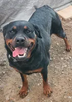 processed/b6315e7f-8b02-4737-a57e-b272294e73dc/listing/14f46ba7-1e77-4236-b5f6-e011374f7f1c/7a624244-42a6-4966-9240-f71d3975a70e