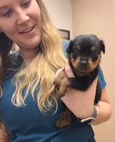 processed/b6315e7f-8b02-4737-a57e-b272294e73dc/listing/14f46ba7-1e77-4236-b5f6-e011374f7f1c/c8ba22cf-20c6-439d-978c-2886517b70c7