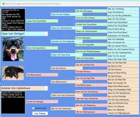 Max, a male Rottweiler for sale in Prescott Valley, AZ – 3 of 9