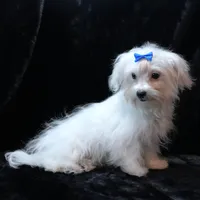 processed/b6319957-829e-42e2-b021-50bb0cb3f51e/listing/0ff8524f-9634-45e7-985f-83768a992784/62fe6e60-2943-4654-ae52-6f4a9d2cc8e9