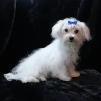 processed/b6319957-829e-42e2-b021-50bb0cb3f51e/listing/0ff8524f-9634-45e7-985f-83768a992784/918ee025-e853-4904-8e5e-5b13fbcece63