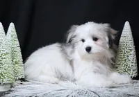 processed/b6319957-829e-42e2-b021-50bb0cb3f51e/listing/10e2c009-fe50-452a-885e-2cd9f418bea4/07d866bf-8149-4b5c-a880-462d2b39c171