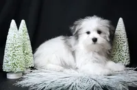 processed/b6319957-829e-42e2-b021-50bb0cb3f51e/listing/10e2c009-fe50-452a-885e-2cd9f418bea4/1b0d58ee-3b50-448f-b883-c7d6d7180f7c