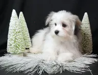 processed/b6319957-829e-42e2-b021-50bb0cb3f51e/listing/10e2c009-fe50-452a-885e-2cd9f418bea4/5b010b71-0abd-49d6-b593-55ebfda847af