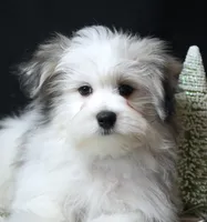 processed/b6319957-829e-42e2-b021-50bb0cb3f51e/listing/10e2c009-fe50-452a-885e-2cd9f418bea4/c288bc06-f035-4ac7-8265-f4bc4988acad