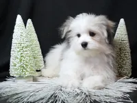 processed/b6319957-829e-42e2-b021-50bb0cb3f51e/listing/10e2c009-fe50-452a-885e-2cd9f418bea4/f6374f7b-bd70-4894-a5f6-2841d0aa693c