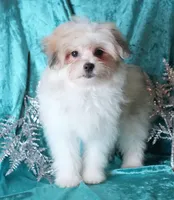 processed/b6319957-829e-42e2-b021-50bb0cb3f51e/listing/d06b02e8-3a71-4dde-a881-7575eef06607/1a281f20-aee9-42a6-b83d-5b8f340883c3