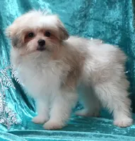 processed/b6319957-829e-42e2-b021-50bb0cb3f51e/listing/d06b02e8-3a71-4dde-a881-7575eef06607/1a71a208-c6ad-4999-b032-246fac681e29