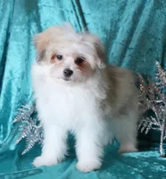 processed/b6319957-829e-42e2-b021-50bb0cb3f51e/listing/d06b02e8-3a71-4dde-a881-7575eef06607/3c993029-5b98-443b-a144-42c4dd82c742