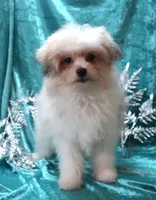 processed/b6319957-829e-42e2-b021-50bb0cb3f51e/listing/d06b02e8-3a71-4dde-a881-7575eef06607/7674d22d-6fbe-4bea-893d-a2f9ca9356bf