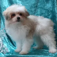 processed/b6319957-829e-42e2-b021-50bb0cb3f51e/listing/d06b02e8-3a71-4dde-a881-7575eef06607/b576c58a-12c1-4aaa-a6ee-a845c5301583