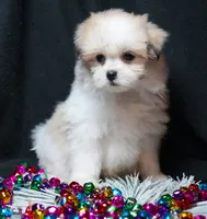 processed/b6319957-829e-42e2-b021-50bb0cb3f51e/listing/d06b02e8-3a71-4dde-a881-7575eef06607/e64c00a2-2a38-4367-96d1-4f2392b38acd