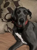 processed/b63ac7e0-69fe-4e24-9b3c-1e27c9dd8a1b/facility/2e21b074-563b-4801-9d8b-b76c6537b63f